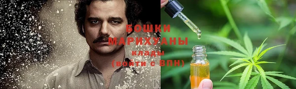соль ск Алексин